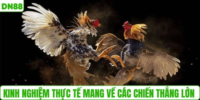 Kinh nghiệm thực tế mang về các chiến thắng lớn 
