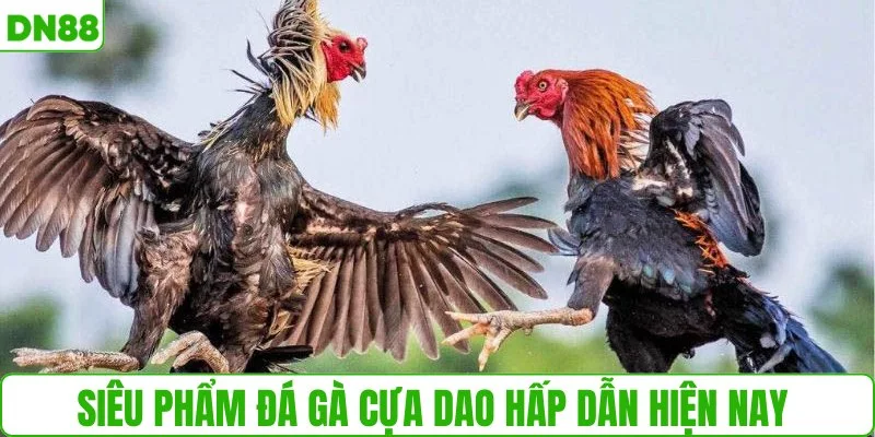 Siêu phẩm đá gà cựa dao hấp dẫn hiện nay 